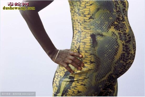 蛇皮衣服图片：这样的蛇皮服装你敢穿吗？