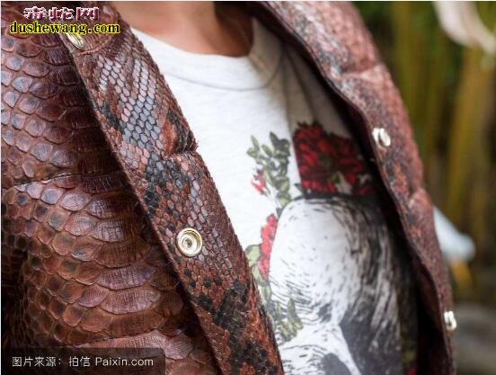 蛇皮衣服图片：这样的蛇皮服装你敢穿吗？