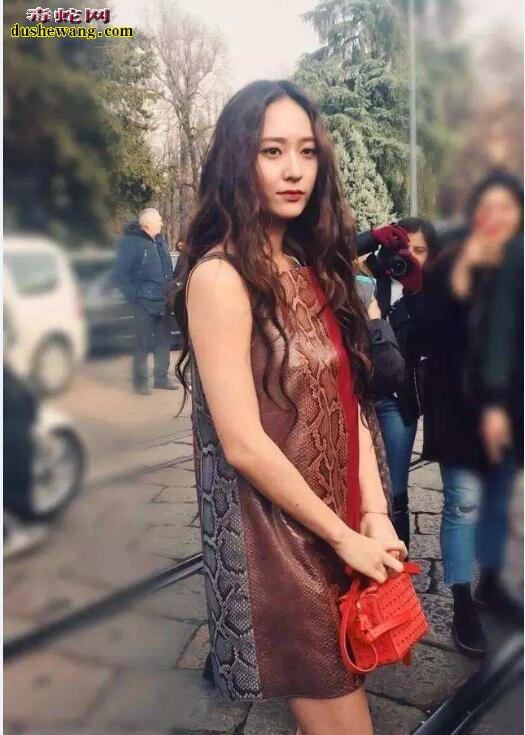蛇皮衣服图片:这样的蛇皮服装你敢穿吗?