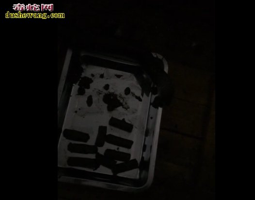 养蛇成本高不高?一般多少钱?