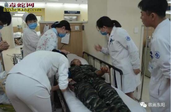 “民间蛇医”治疗毒蛇不靠谱!男子遭蛇咬自制草药来解毒险命【带视频】
