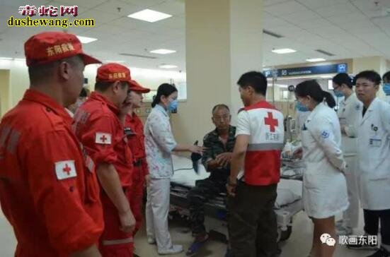 “民间蛇医”治疗毒蛇不靠谱!男子遭蛇咬自制草药来解毒险命【带视频】