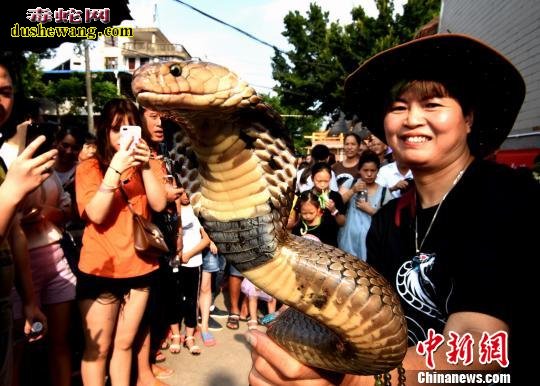 “游蛇神”闽北七巧节与蛇共舞!樟湖坂崇蛇民俗集中体祭蛇神活动!