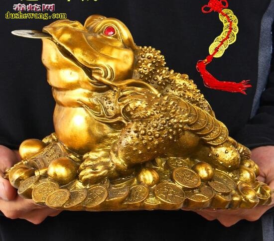 招财蟾蜍图片