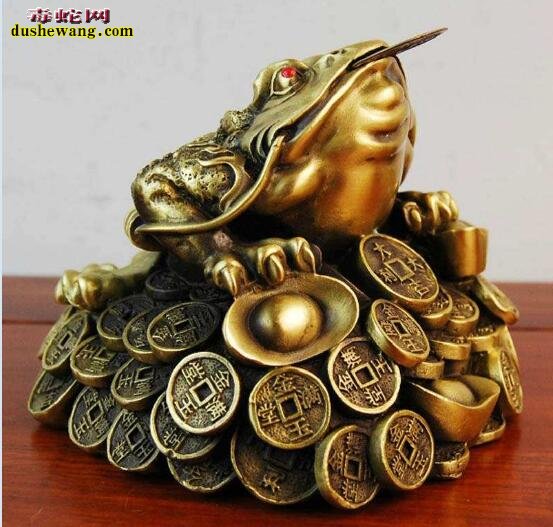 招财蟾蜍图片