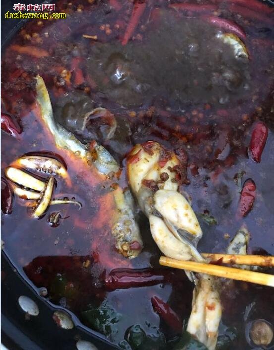 杀牛蛙图片:直播牛人宰杀牛蛙全过程!