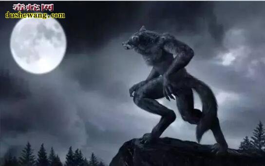 美国动物学家发现类似“狼人”诡异生物！看似狼但不是狼！