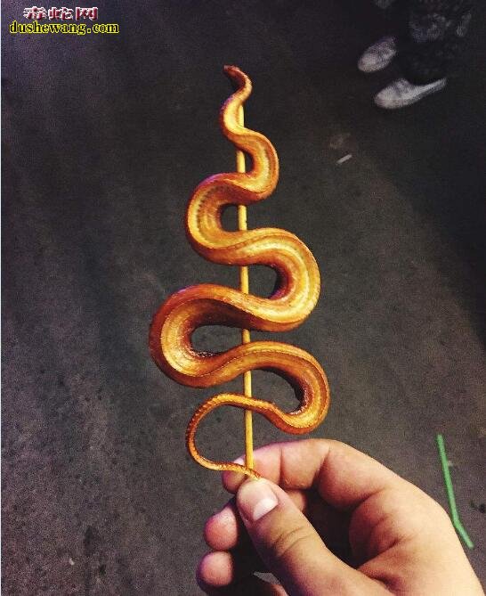 蛇肉串图片