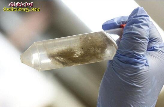 科学家发现史前马-雅库特马:已经被冰封4万年!