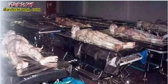 暗网是什么?44张暗网流传的恐怖照片吓尿你!