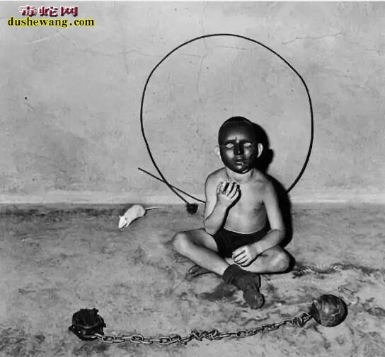 暗网是什么?44张暗网流传的恐怖照片吓尿你!