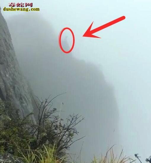 峨眉山金顶舍身崖灵异事件!崖下枯骨成堆!从古至今跳崖人不断!