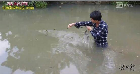 小伙河里捕鱼做鱼竿，没想到全是泥蛇