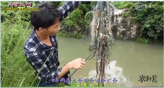 小伙河里捕鱼做鱼竿，没想到全是泥蛇