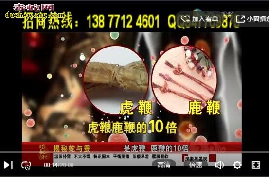 蛇鞭粉有哪些贡献?详细介绍蛇鞭贡献