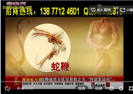 蛇鞭粉有哪些贡献?详细介绍蛇鞭贡献