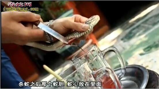实拍：越南蛇村品尝蛇血酒