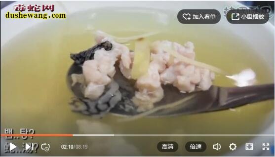 韩国游客来中国吃蛇肉、喝蛇血畅谈吃后感【
