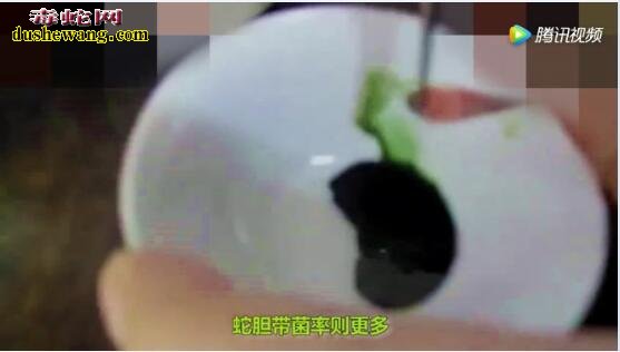 网传22岁小伙吃蛇胆送命!蛇胆能不能吃呢