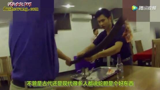 网传22岁小伙吃蛇胆送命!蛇胆能不能吃呢
