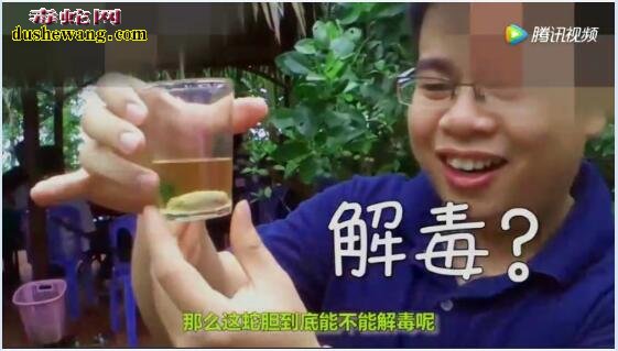 网传22岁小伙吃蛇胆送命!蛇胆能不能吃呢