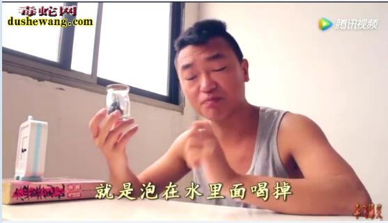 小伙挑战吃五步蛇胆!看他吃后的表情你还敢吃吗