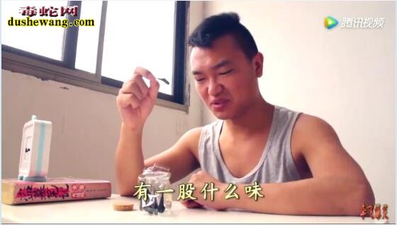 小伙挑战吃五步蛇胆!看他吃后的表情你还敢吃吗