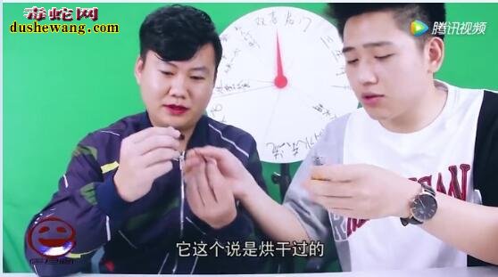 蛇胆真的好苦吗？看看这两小哥吃蛇胆