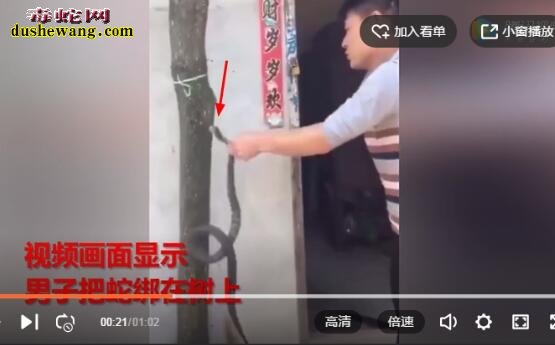 男子活剥蛇皮绳子滑落遭蛇咬