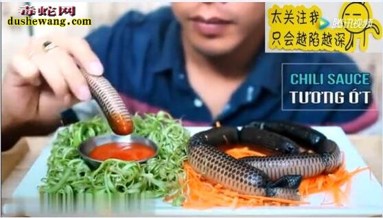 国外小伙直播吃蛇皮香肠!感觉蛇在嘴里动