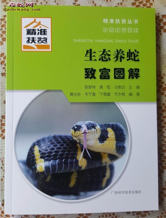 生态养蛇致富图解