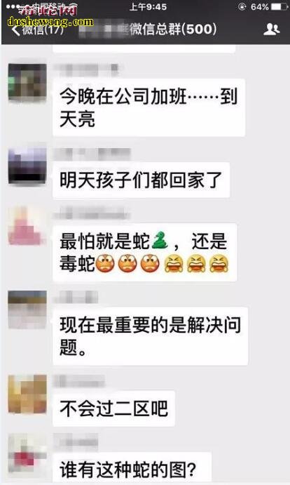 禅城小区业主带眼镜王蛇泡酒越狱!这下连附近小区也炸锅了!