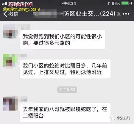 禅城小区业主带眼镜王蛇泡酒越狱!这下连附近小区也炸锅了!