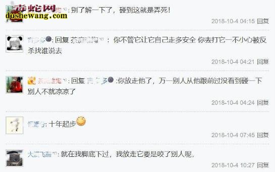 毒蛇喂狗!剧毒银环蛇被钓友打死落到喂狗的下场!