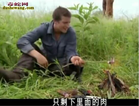 贝爷荒野求生:各种青蛙美食野外求生必备