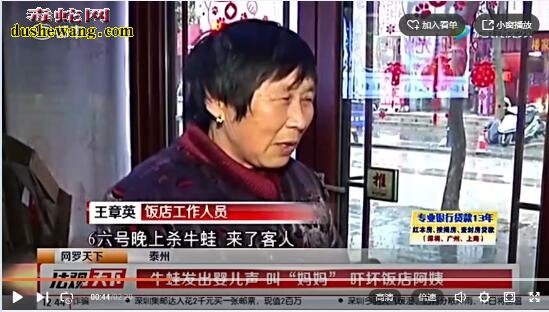 牛蛙宰杀前如婴儿叫“妈妈”!成精了