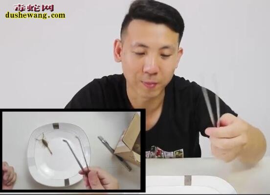 小伙网上购买活蝎子现场来个油炸蝎子吃