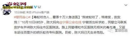 宣城毒蛇出没咬人!宁国宁墩派出帮助送往医院!