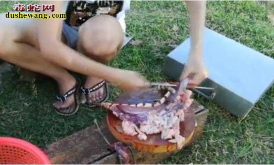 国外妹子野外捉蛇靠蛇肉吃？这种烤蛇肉你见多过吗？