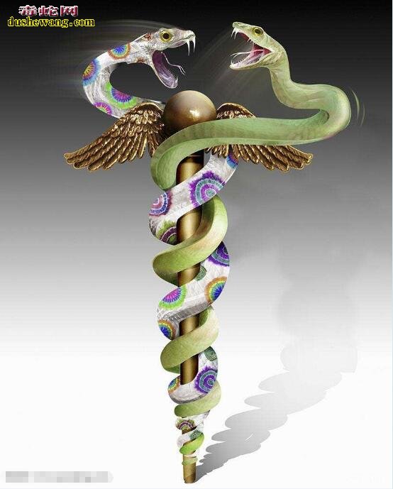 蛇杖：蛇杖为什么成为医学的标志？有什么典故？
