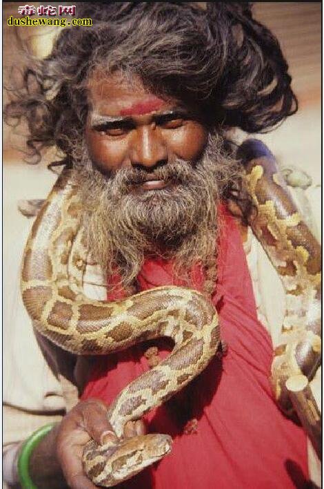 “蛇崇拜”看看世界各地对蛇崇拜的文化
