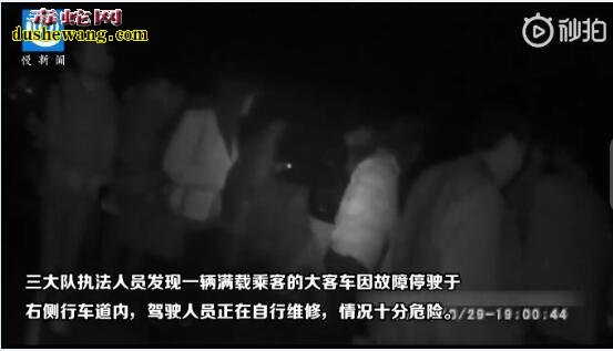 重庆大巴车隧道抛锚不敢报警!原来车上有大量蛇和青蛙!