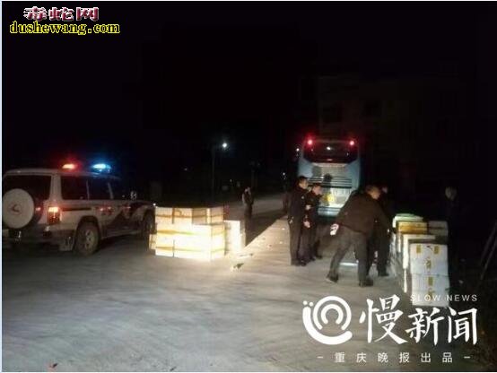 重庆大巴车隧道抛锚不敢报警!原来车上有大量蛇和青蛙!