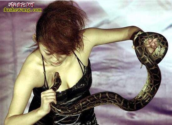 蛇是不咬美女的