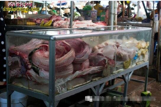 吃蛇肉有什么作用?