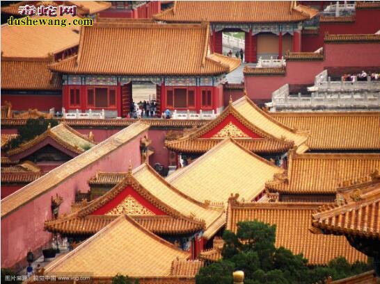 故宫揭秘:为什么没有鸟敢在故宫上拉屎?
