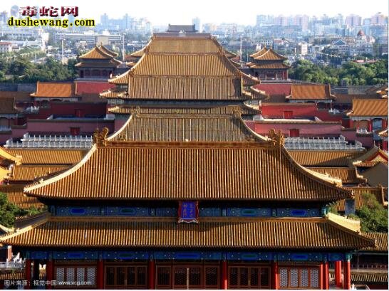 故宫揭秘:为什么没有鸟敢在故宫上拉屎?