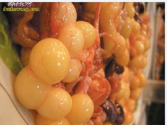 菜花蛇蛇蛋能吃吗?
