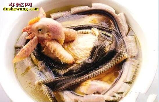 海蛇干煲汤的做法
