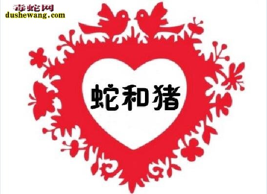 属猪和属蛇的相配吗?